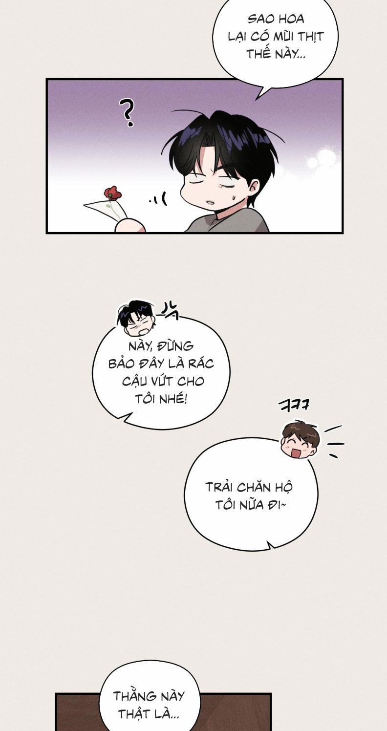 Báo Cáo Thanh Xuân 1995 15 trang 7