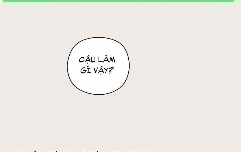 Báo Cáo Thanh Xuân 1995 18 trang 0