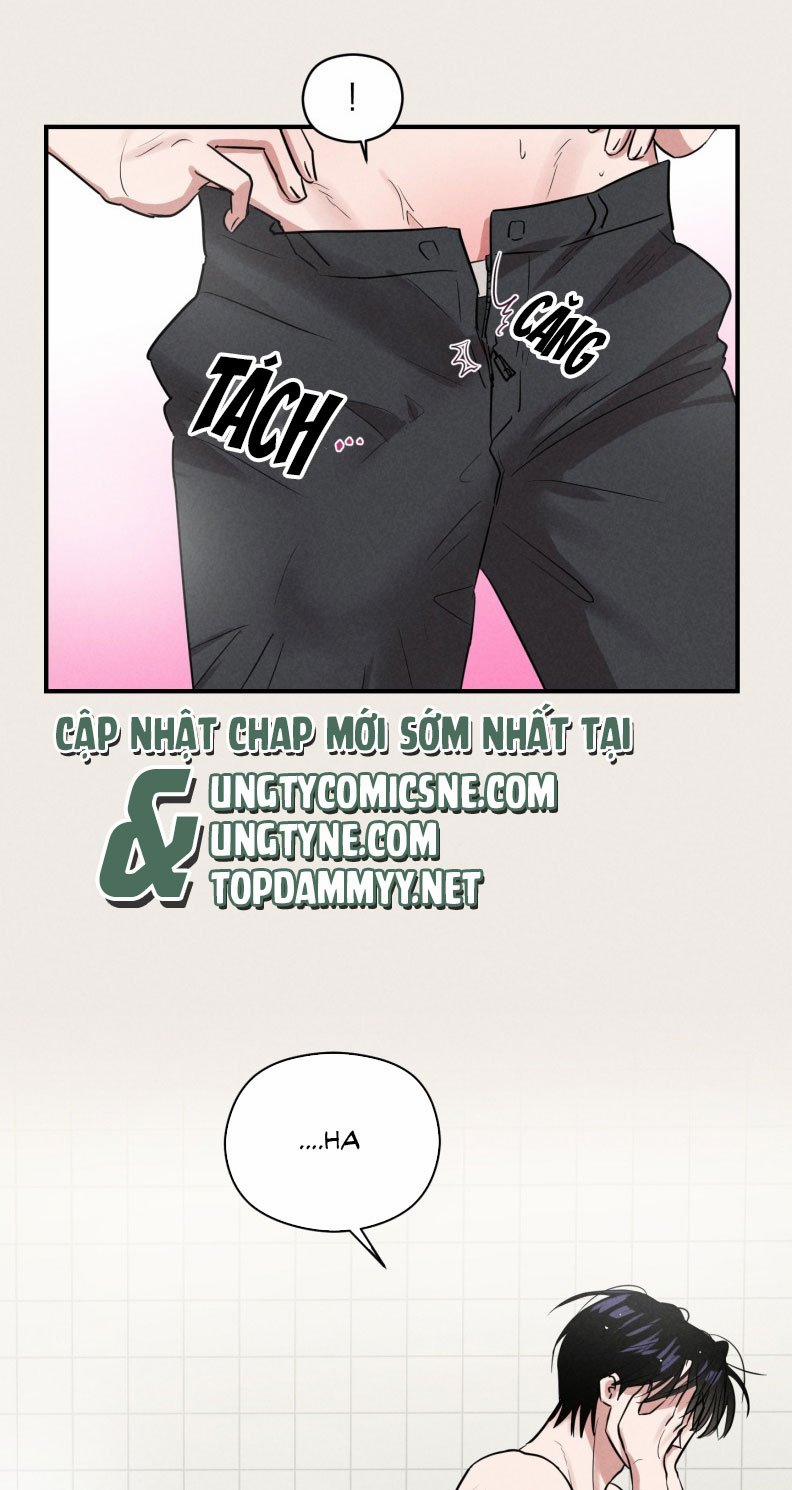 Báo Cáo Thanh Xuân 1995 18 trang 9