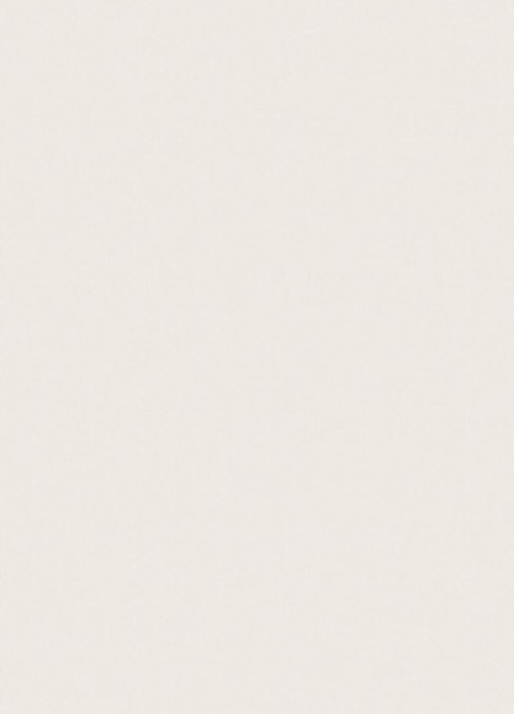 Báo Cáo Thanh Xuân 1995 2 trang 13