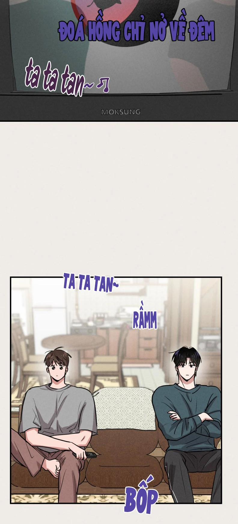 Báo Cáo Thanh Xuân 1995 21 trang 12