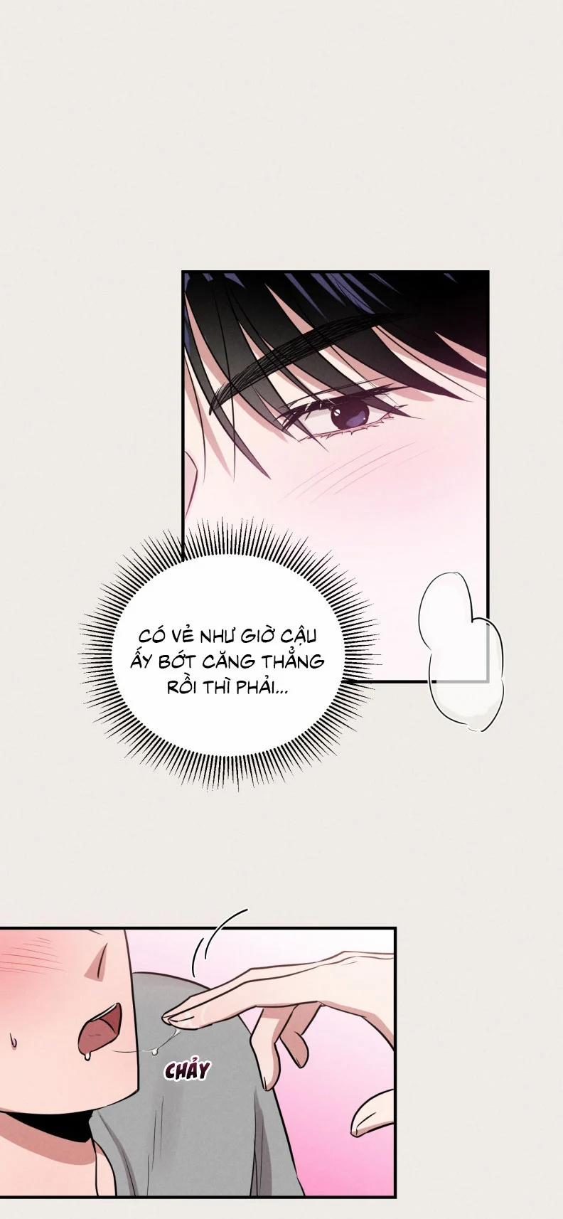 Báo Cáo Thanh Xuân 1995 22 trang 23