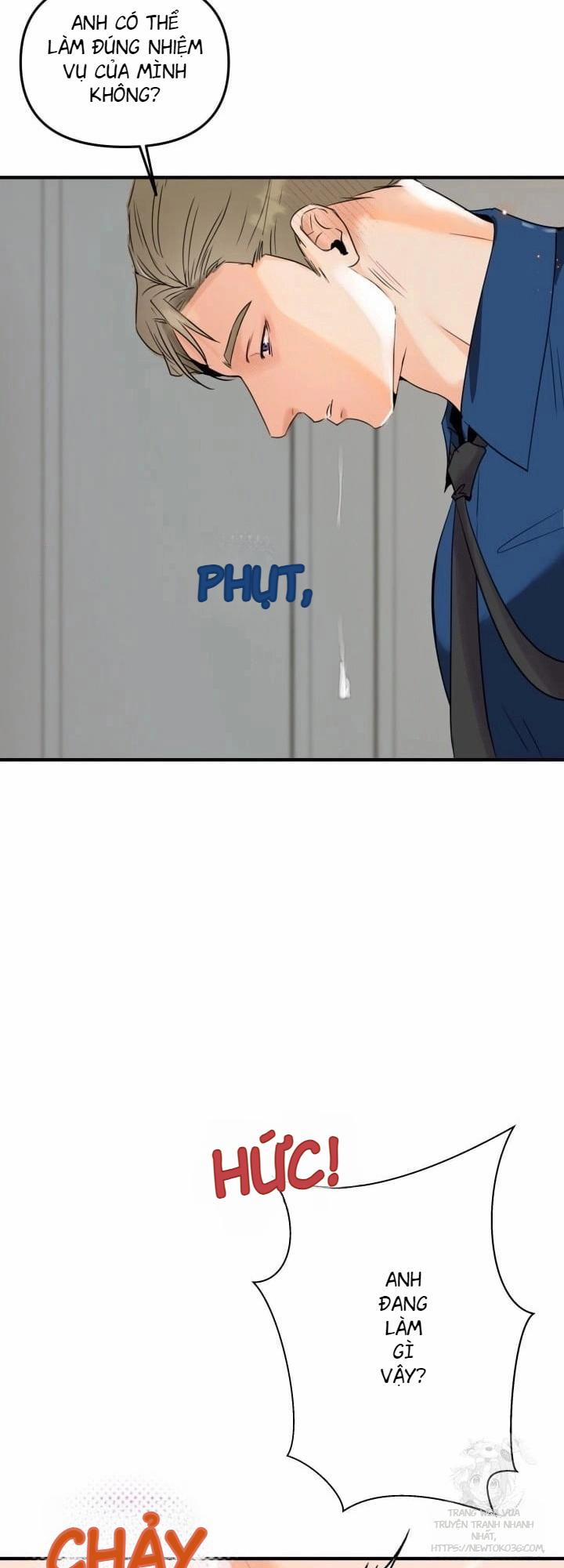 Báo Cáo Thu Thập Dữ Lệu Về Tuyến Tiền Liệt 4 trang 13