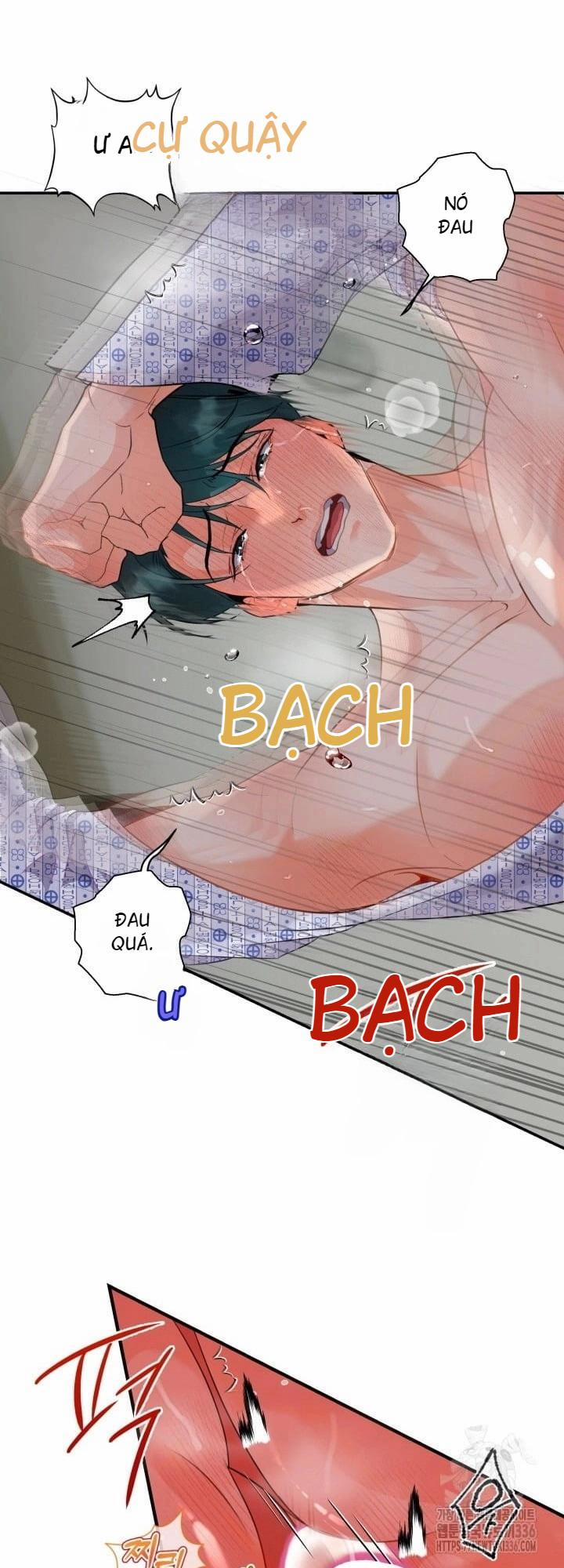 Báo Cáo Thu Thập Dữ Lệu Về Tuyến Tiền Liệt 4 trang 48