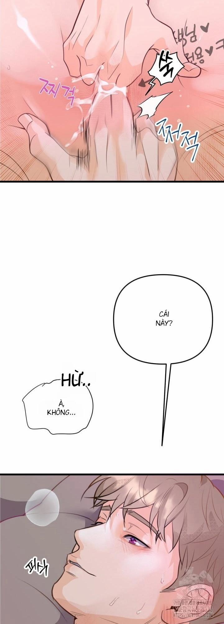 Báo Cáo Thu Thập Dữ Lệu Về Tuyến Tiền Liệt 6 trang 19