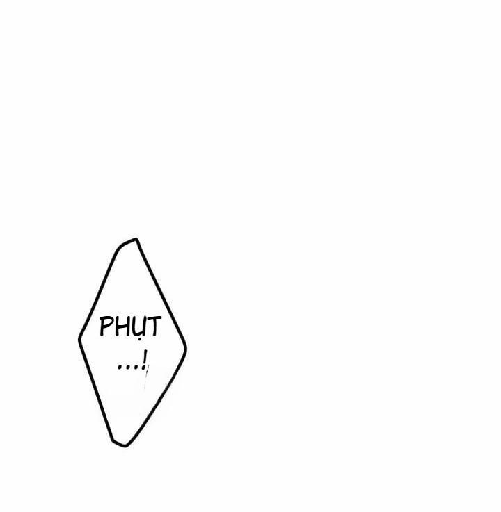 Báo Cáo Thu Thập Dữ Lệu Về Tuyến Tiền Liệt 6 trang 26