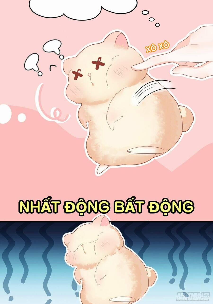 Bảo Điển Tình Yêu Của Hamster 1 trang 13