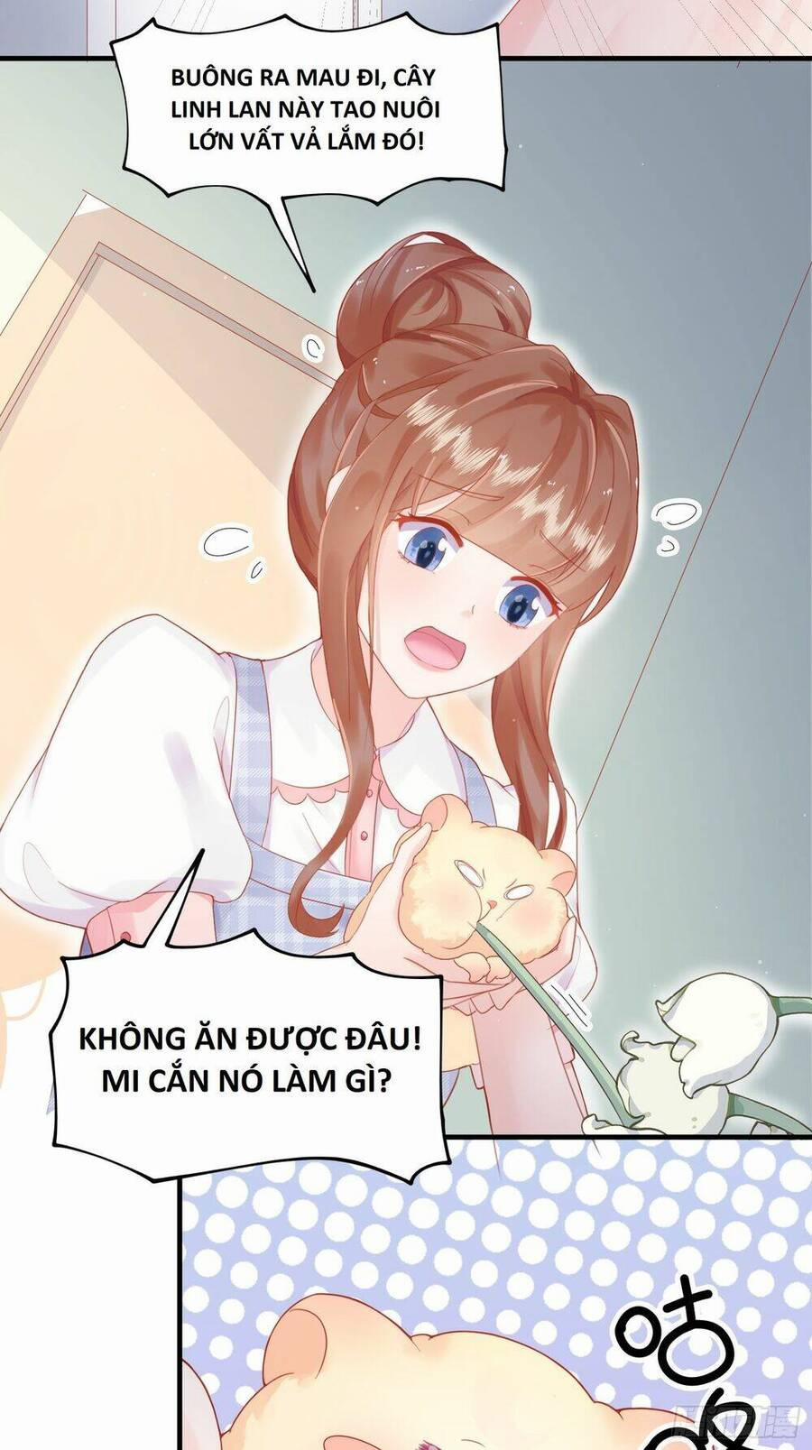 Bảo Điển Tình Yêu Của Hamster 1 trang 19