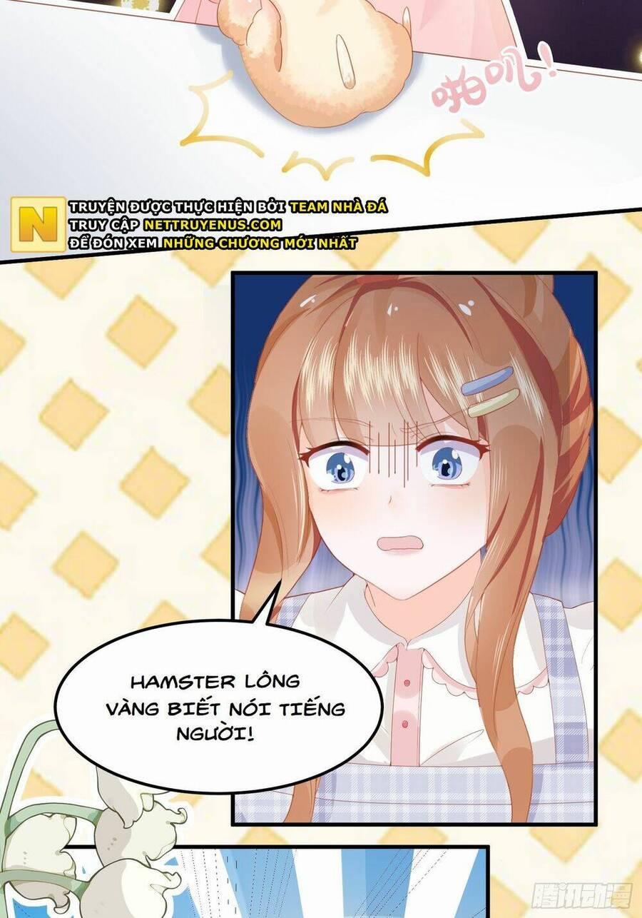 Bảo Điển Tình Yêu Của Hamster 1 trang 24