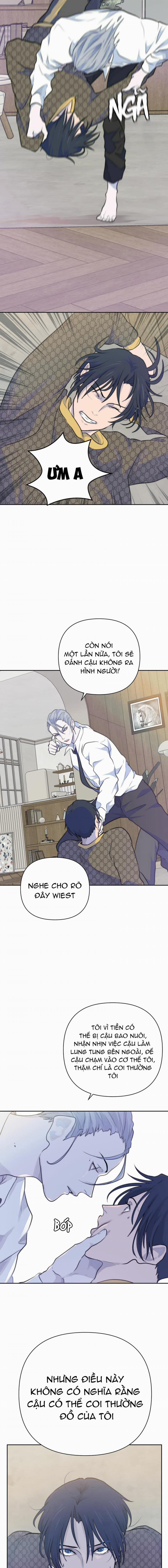 Bao Nuôi Tiền Bối 26 trang 7