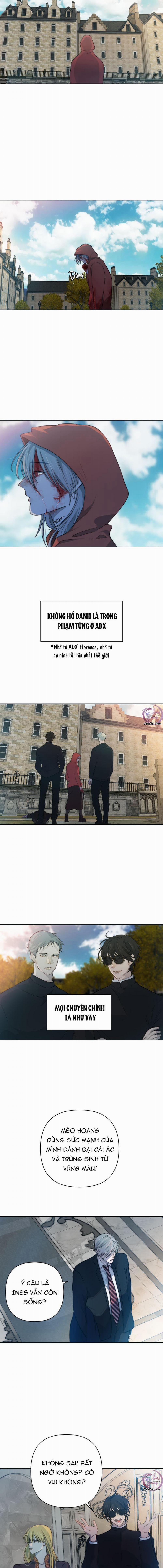 Bao Nuôi Tiền Bối 49 trang 4