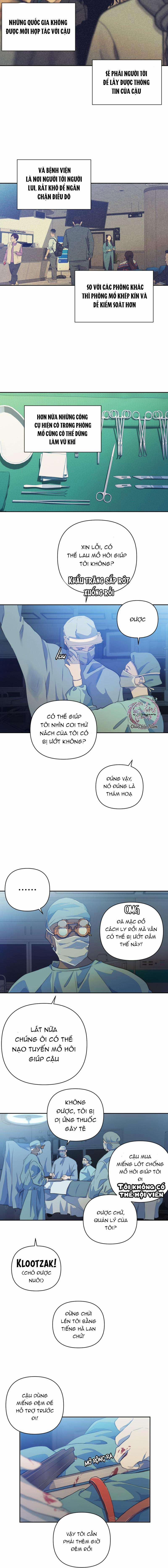 Bao Nuôi Tiền Bối 65 trang 10