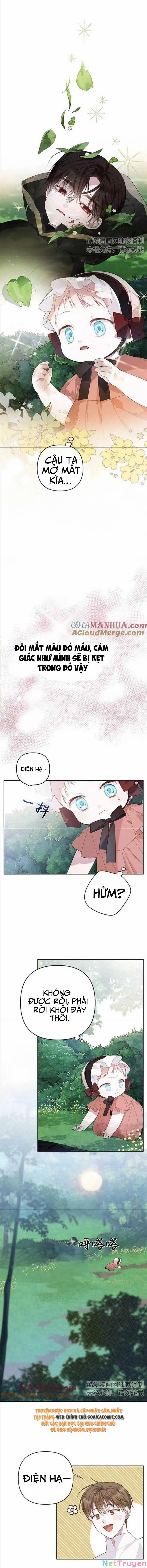 Bạo Quân Baby 11.1 trang 5