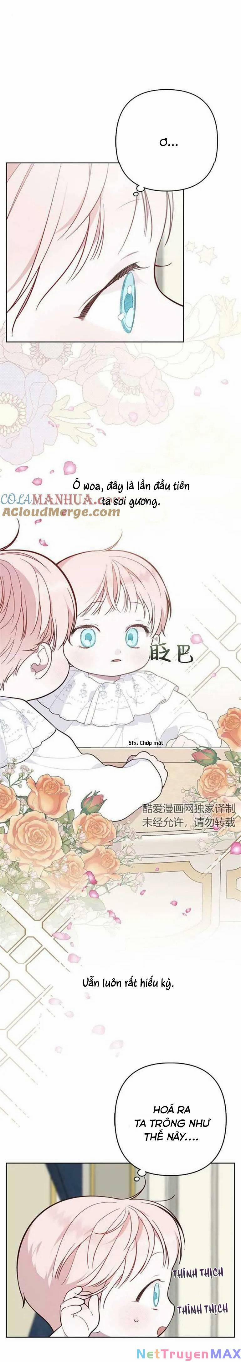 Bạo Quân Baby 19.1 trang 2