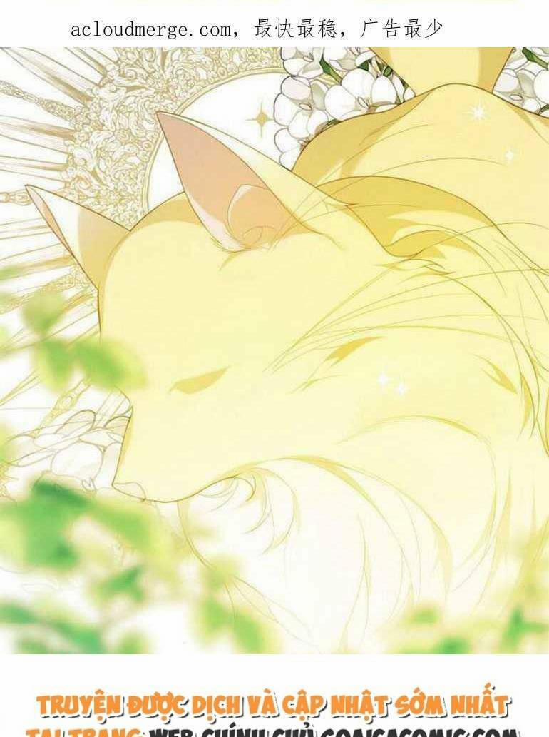 Bạo Quân Baby 4.2 trang 37