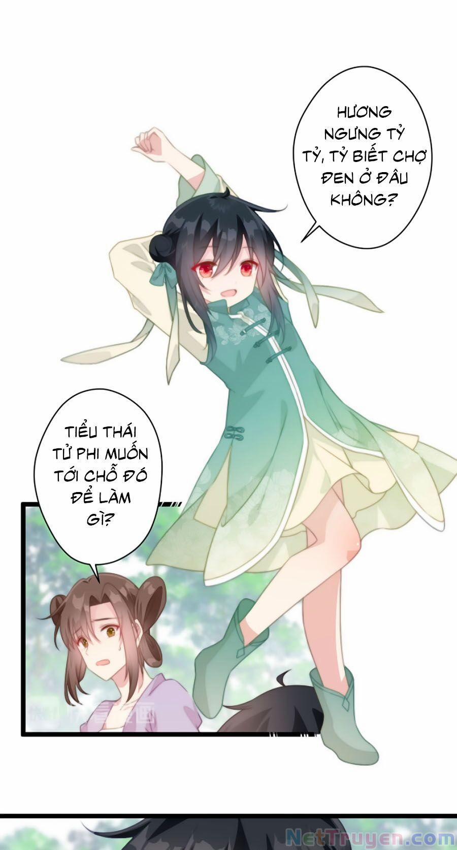 Bạo Sủng Tiểu Manh Phi 21 trang 0