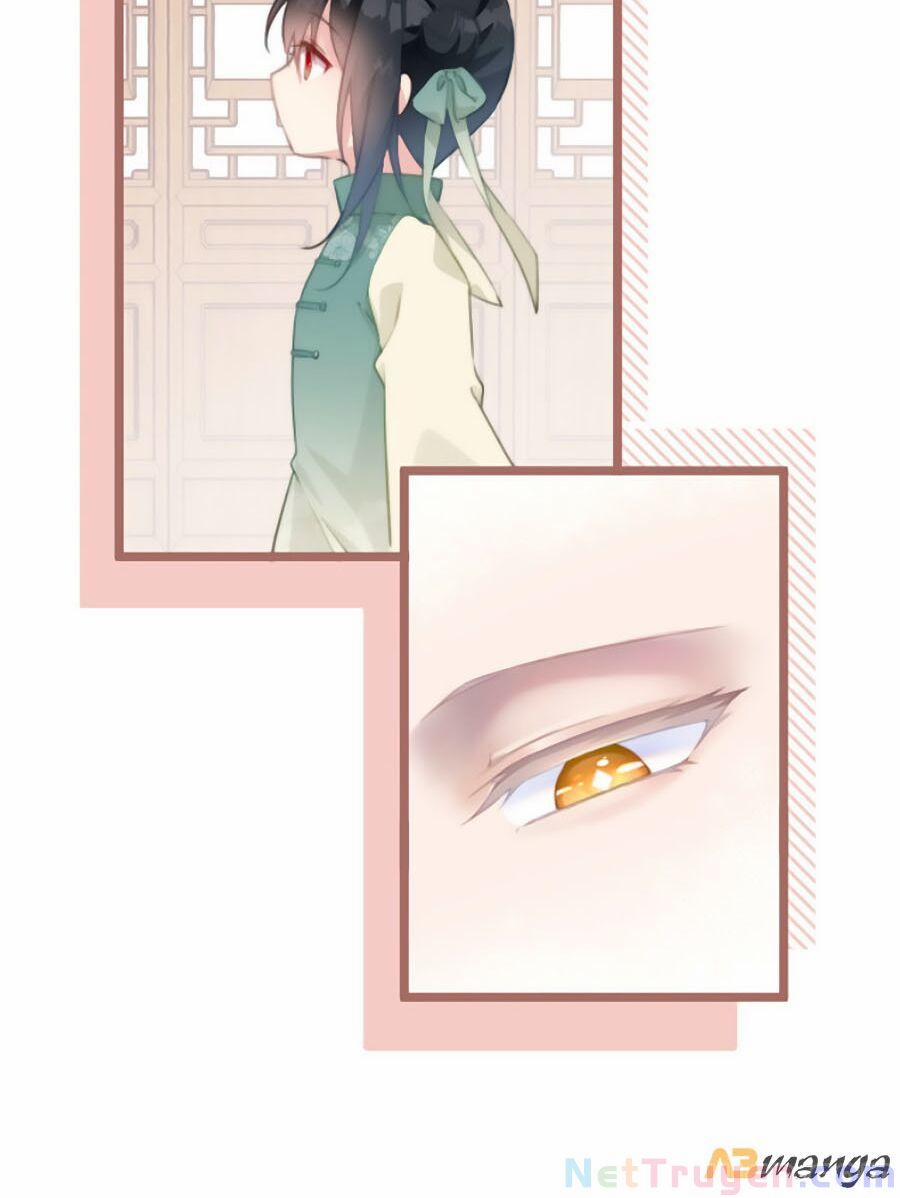 Bạo Sủng Tiểu Manh Phi 21 trang 23