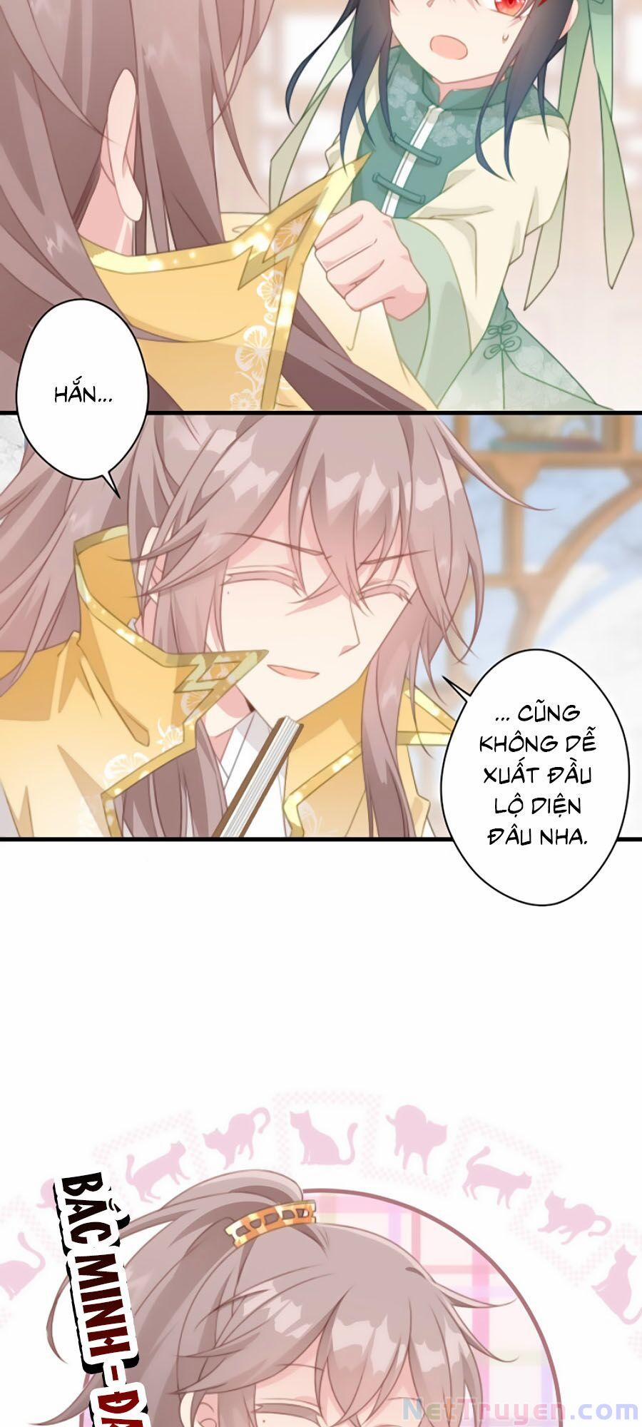 Bạo Sủng Tiểu Manh Phi 23 trang 13