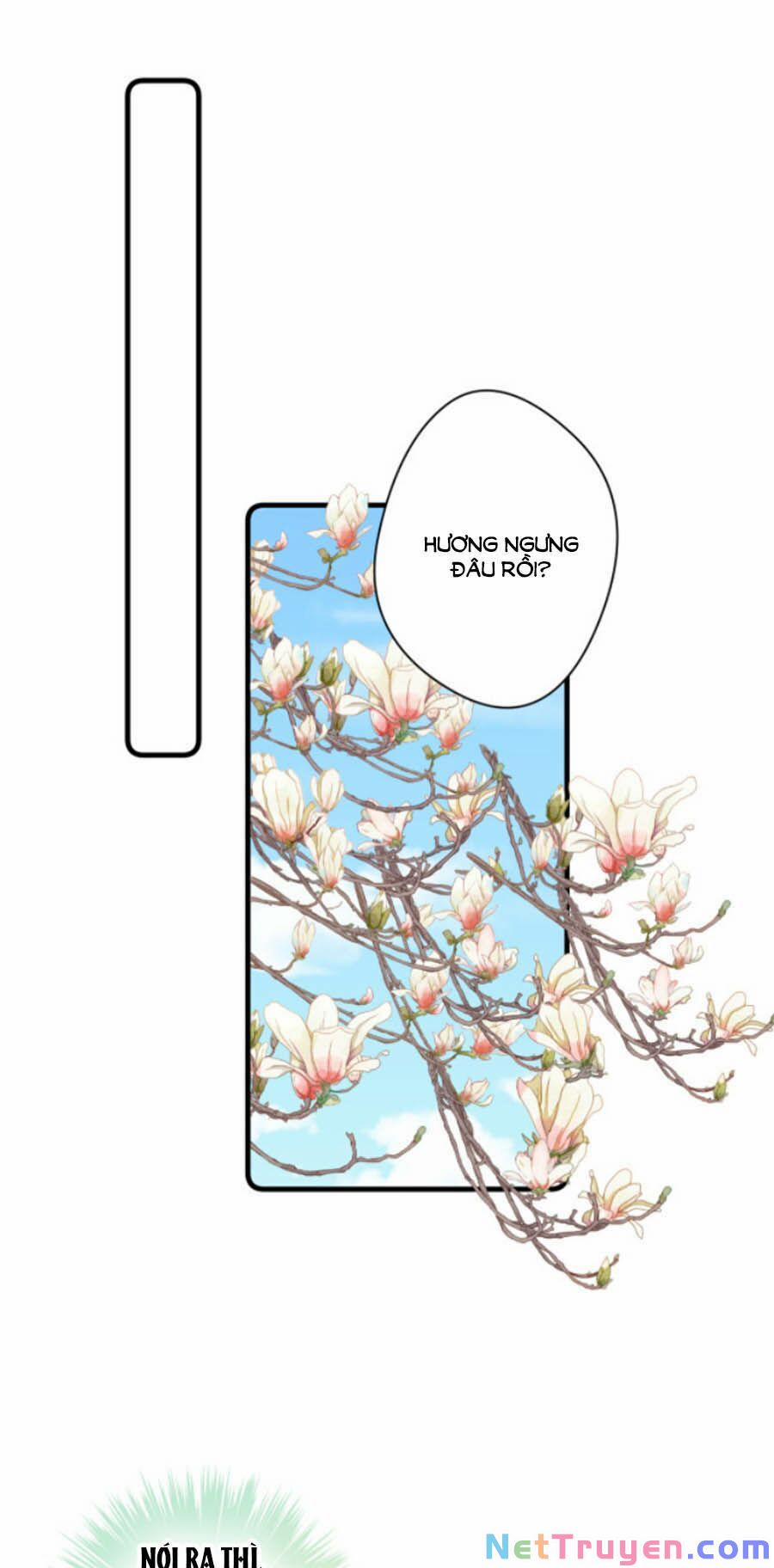 Bạo Sủng Tiểu Manh Phi 41 trang 11