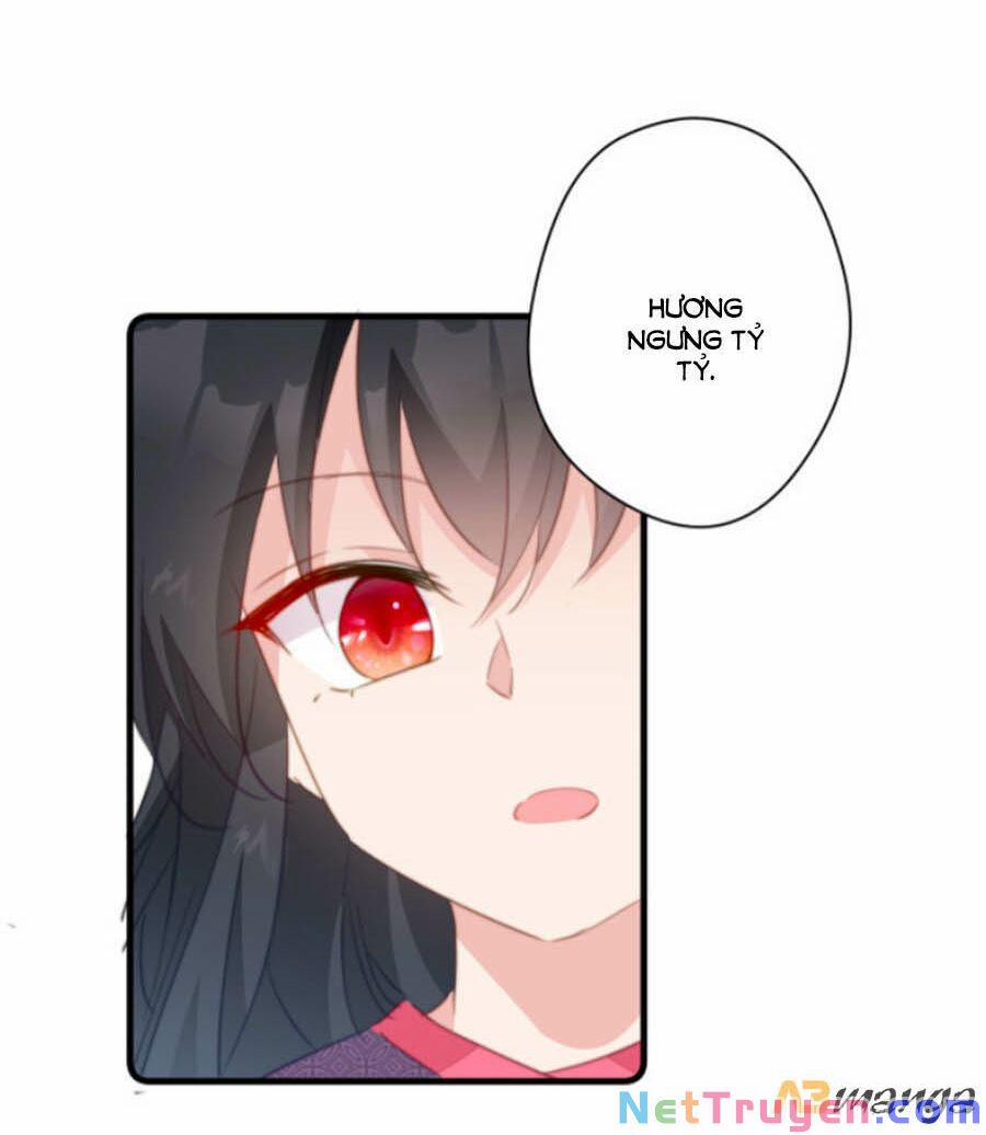 Bạo Sủng Tiểu Manh Phi 41 trang 16