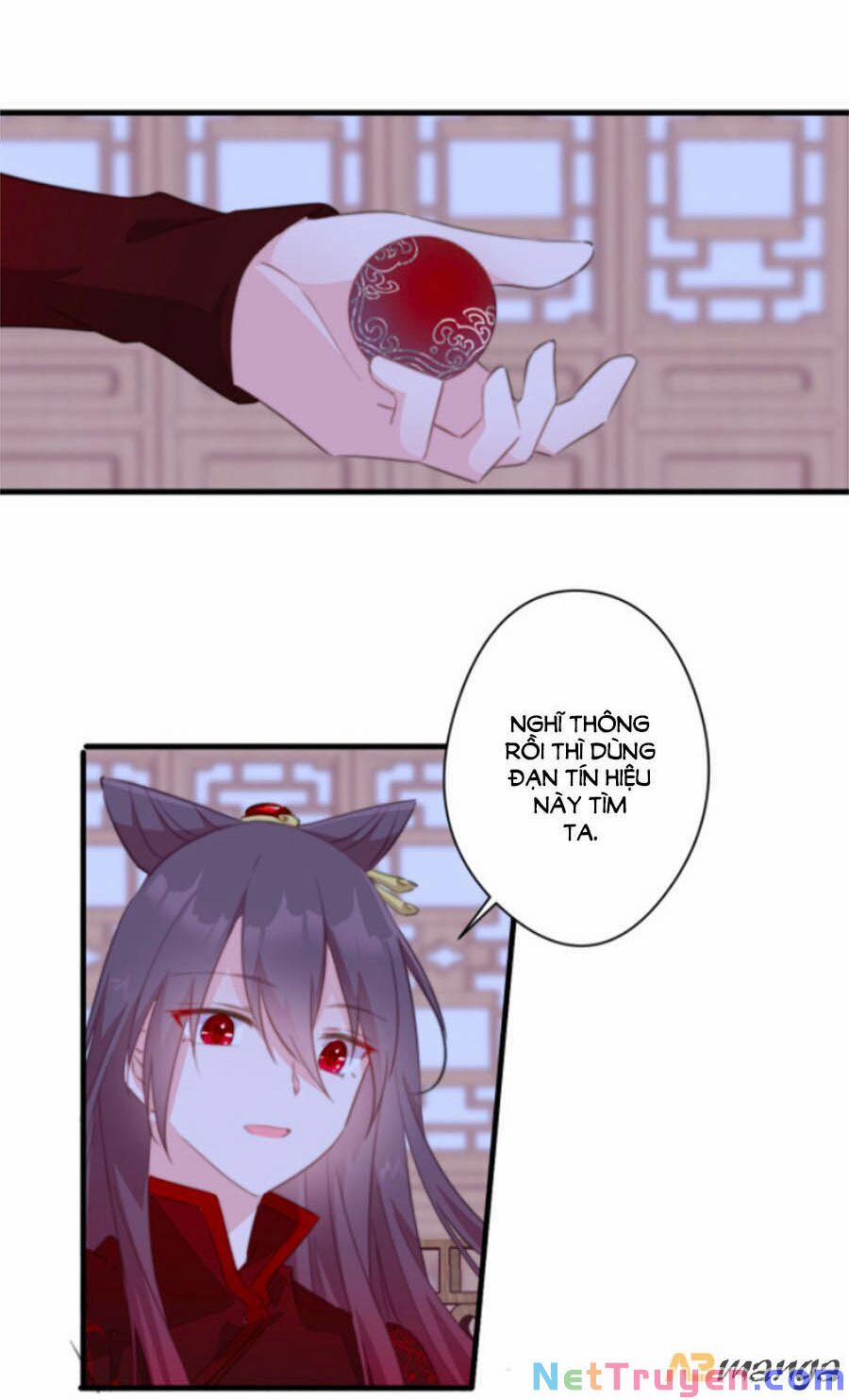 Bạo Sủng Tiểu Manh Phi 41 trang 5