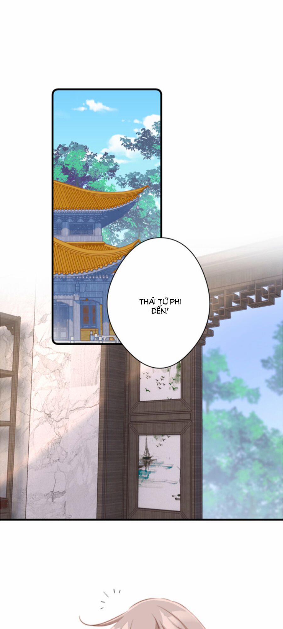 Bạo Sủng Tiểu Manh Phi 46 trang 0