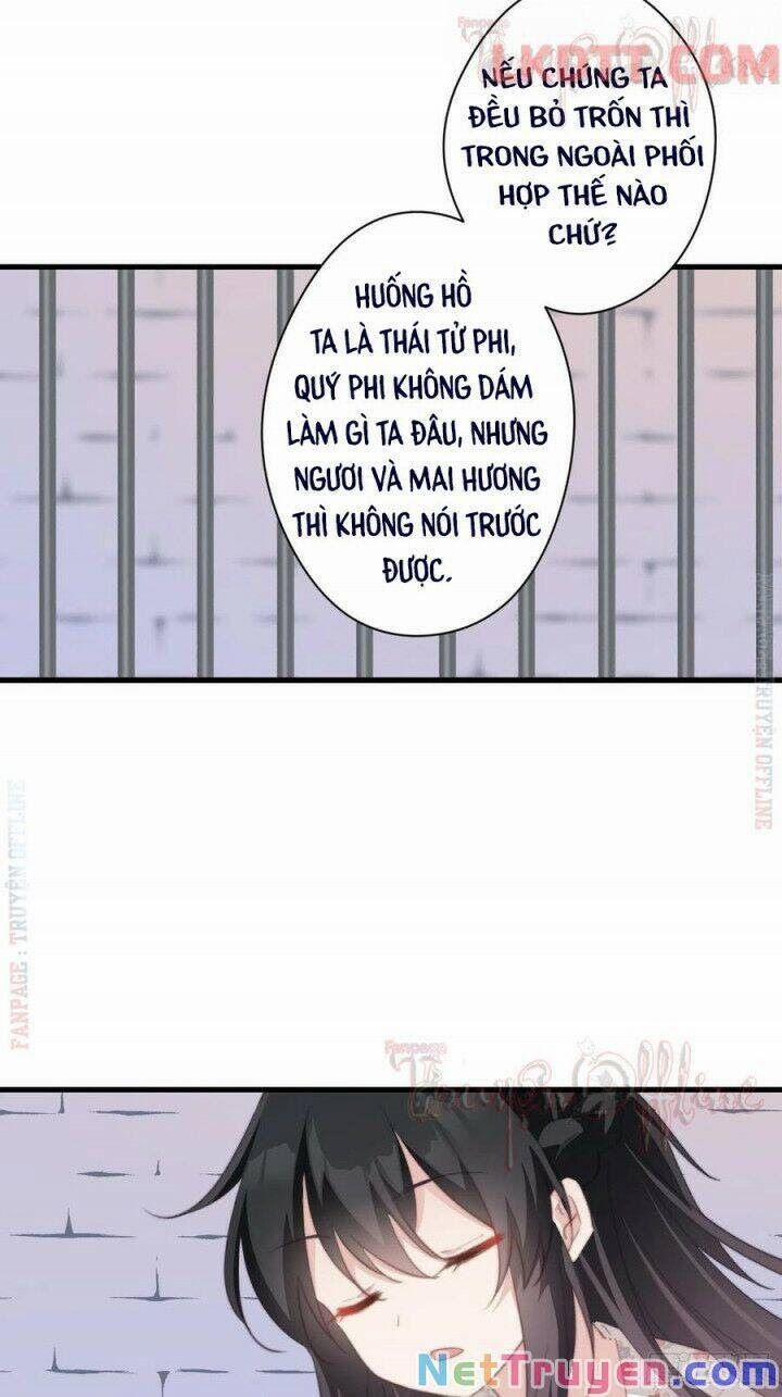 Bạo Sủng Tiểu Manh Phi 57 trang 5