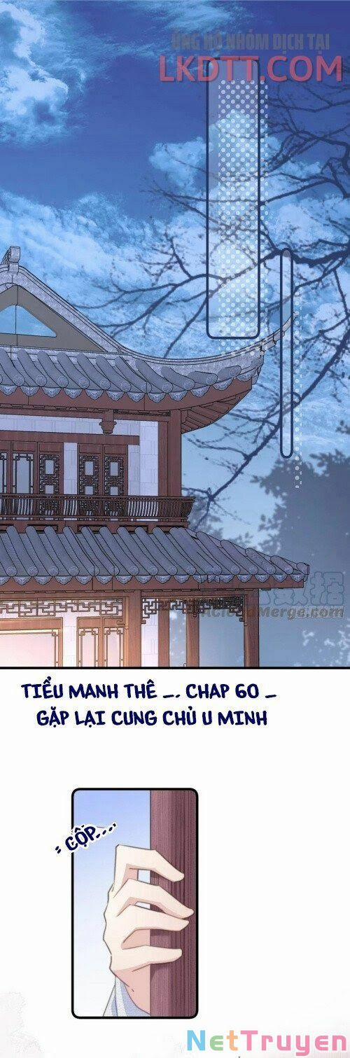 Bạo Sủng Tiểu Manh Phi 60.1 trang 1