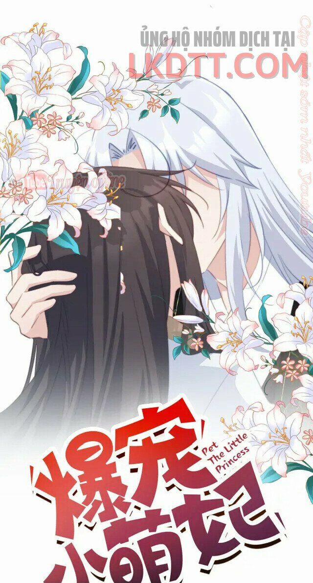 Bạo Sủng Tiểu Manh Phi 63.1 trang 0