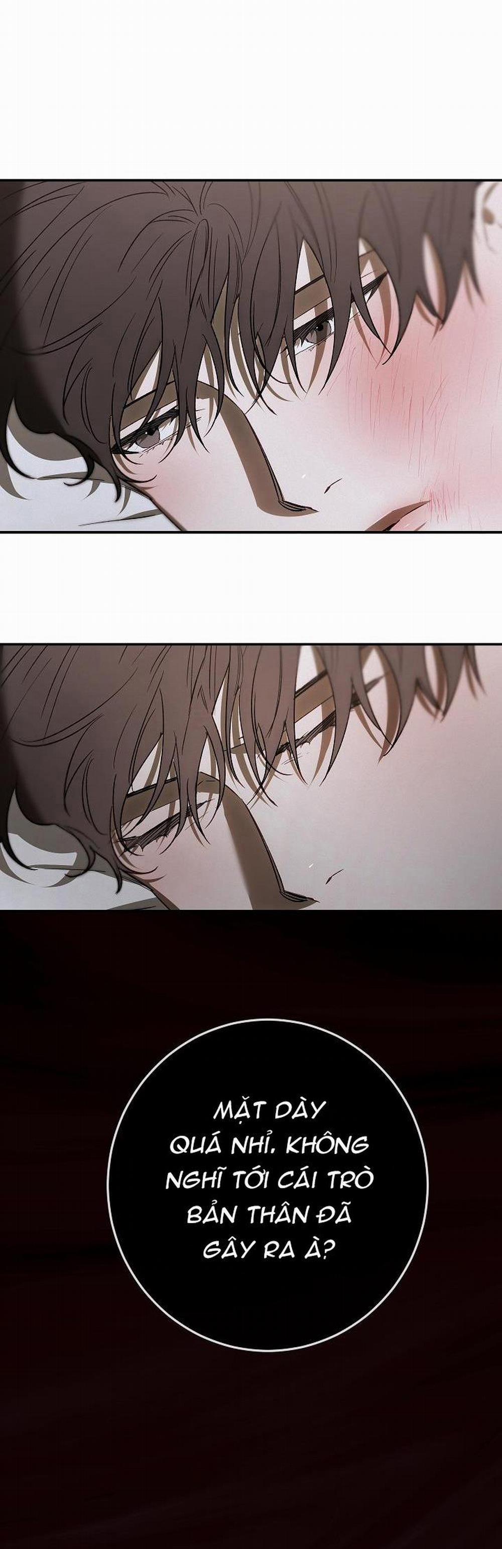 BẢO VẬT 11 trang 17