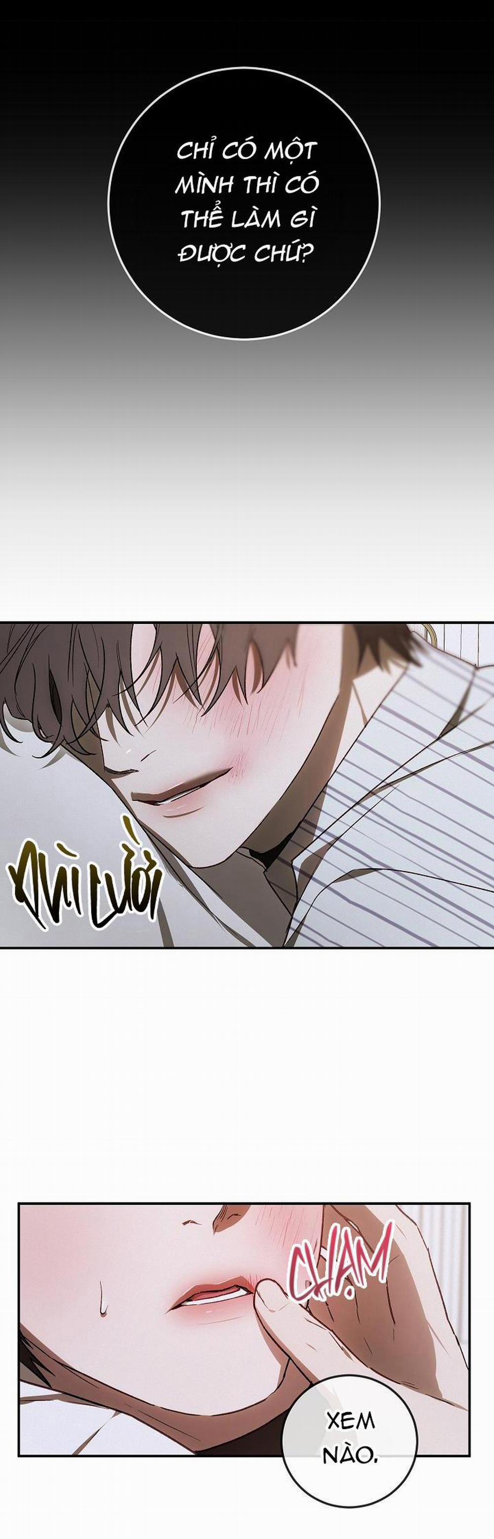 BẢO VẬT 11 trang 20