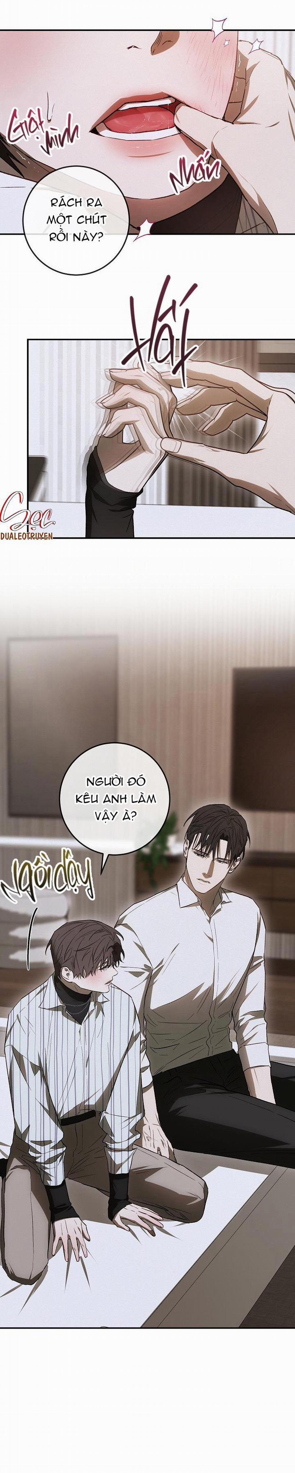 BẢO VẬT 11 trang 21