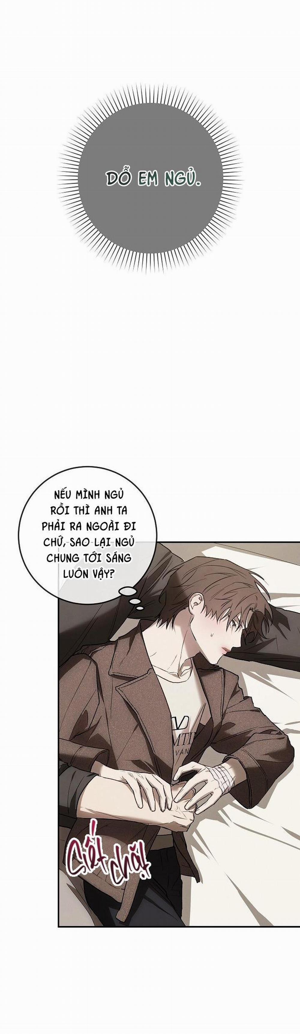 BẢO VẬT 12 trang 13