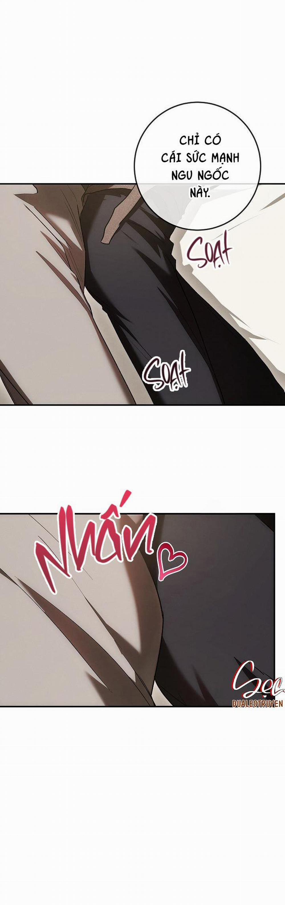 BẢO VẬT 12 trang 14