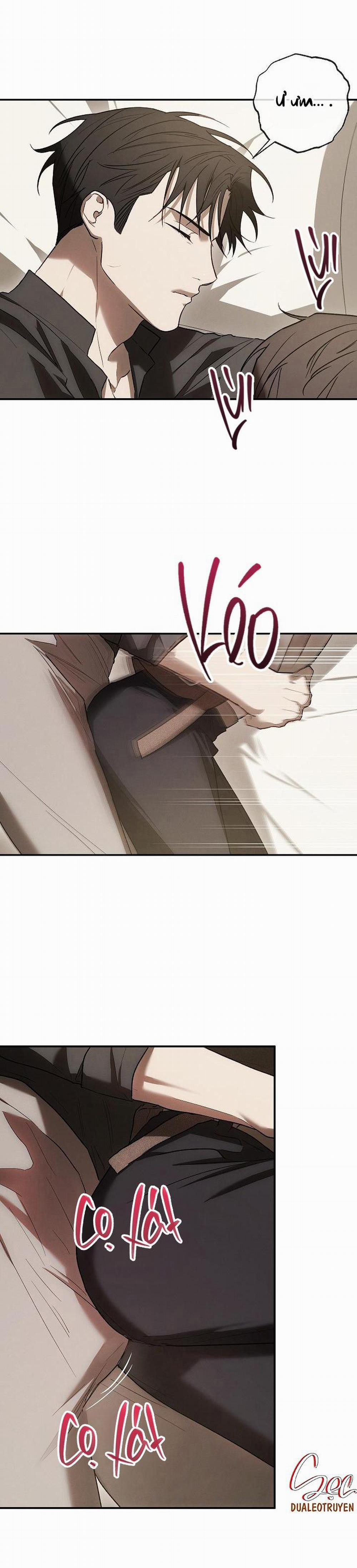 BẢO VẬT 12 trang 17