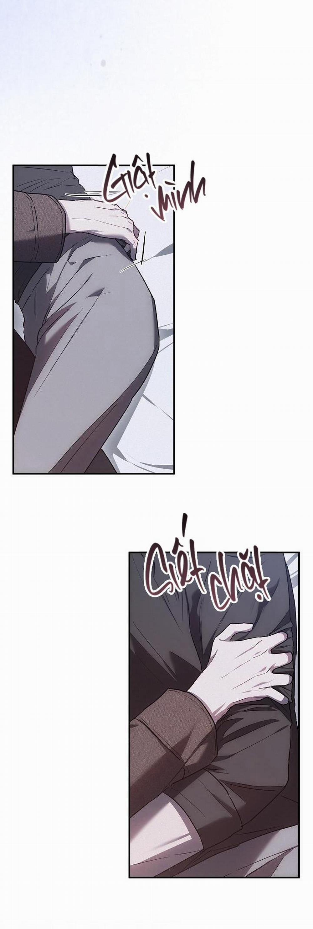 BẢO VẬT 12 trang 8