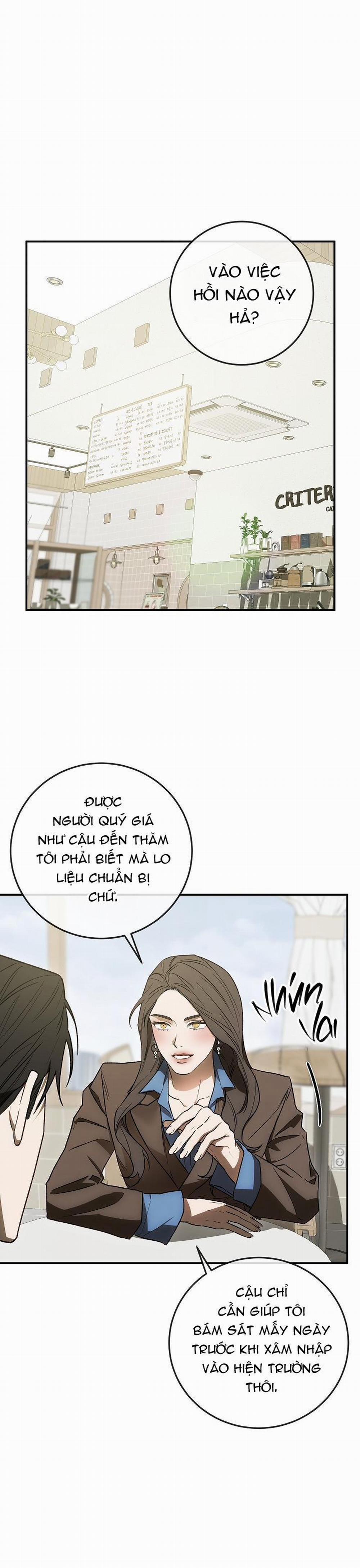 BẢO VẬT 13 trang 0