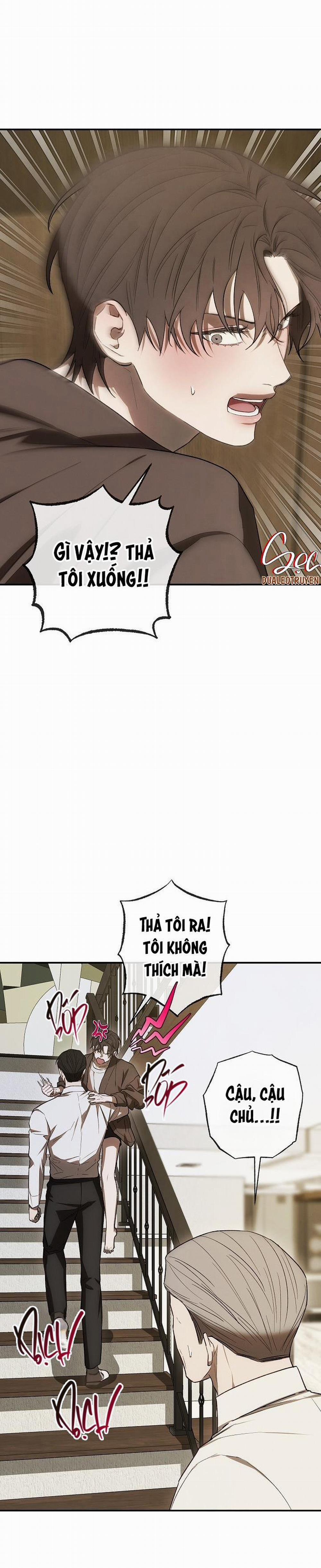 BẢO VẬT 13 trang 31