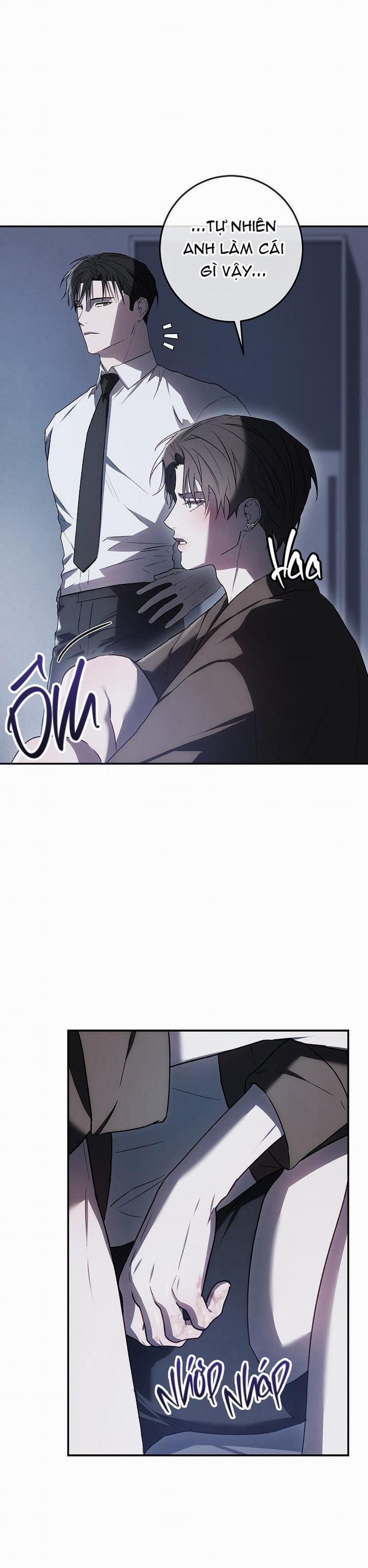 BẢO VẬT 13 trang 37