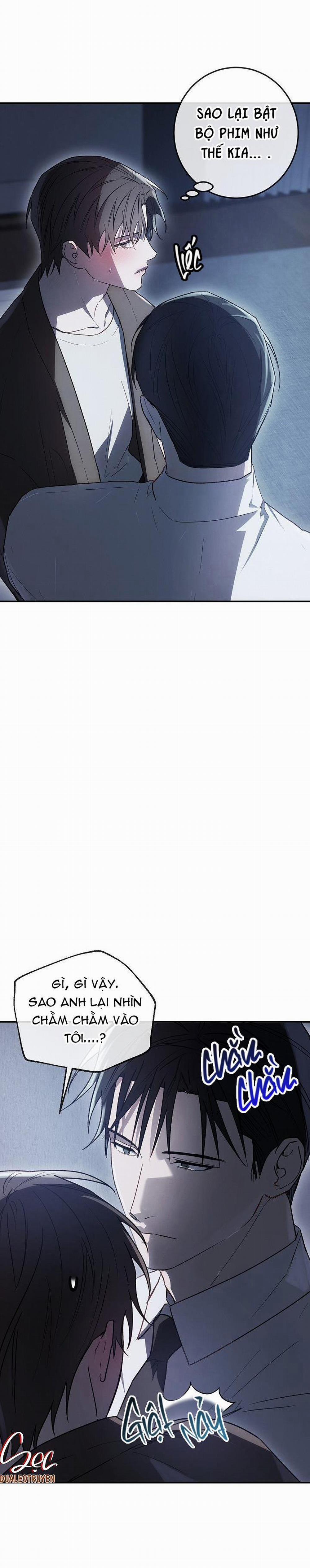 BẢO VẬT 13 trang 41