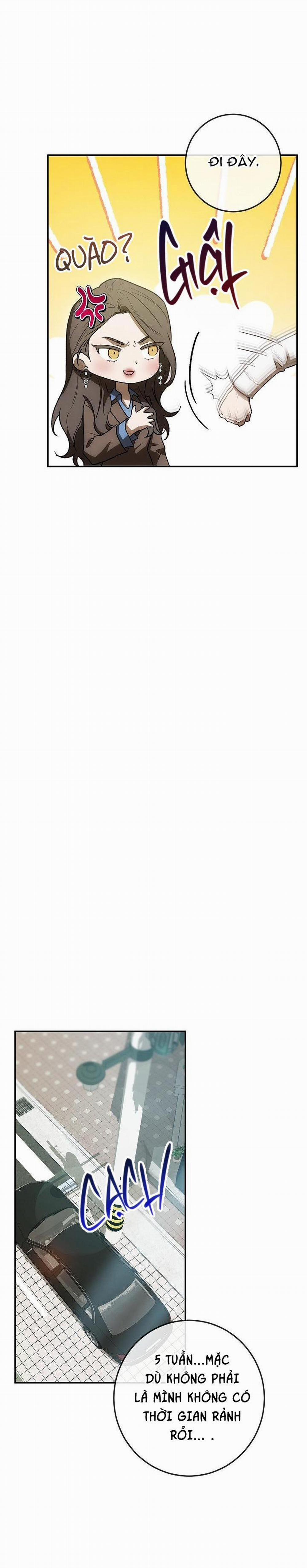 BẢO VẬT 13 trang 7