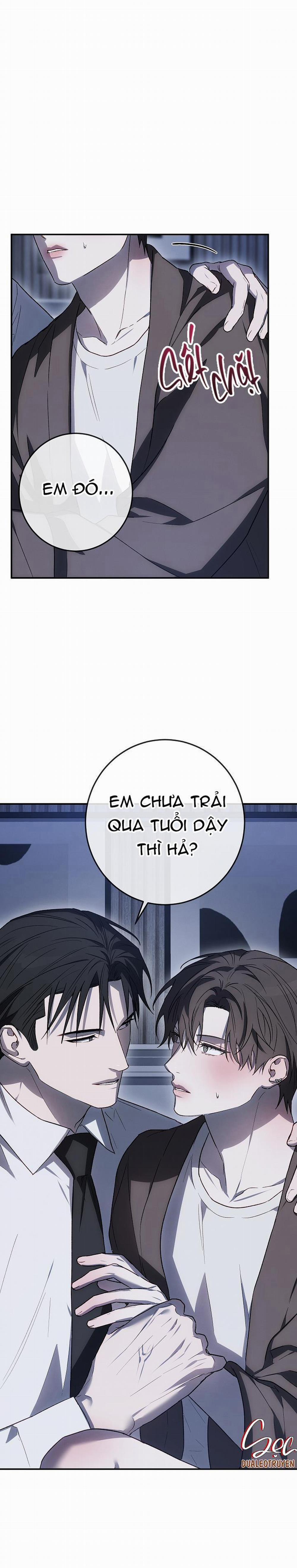 BẢO VẬT 14 trang 0