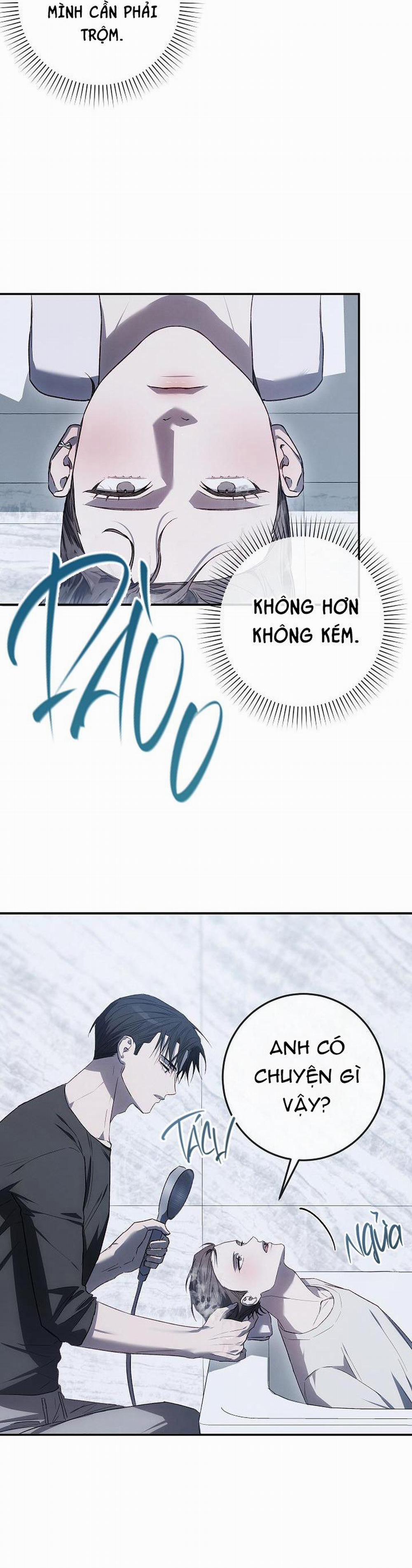 BẢO VẬT 14 trang 15