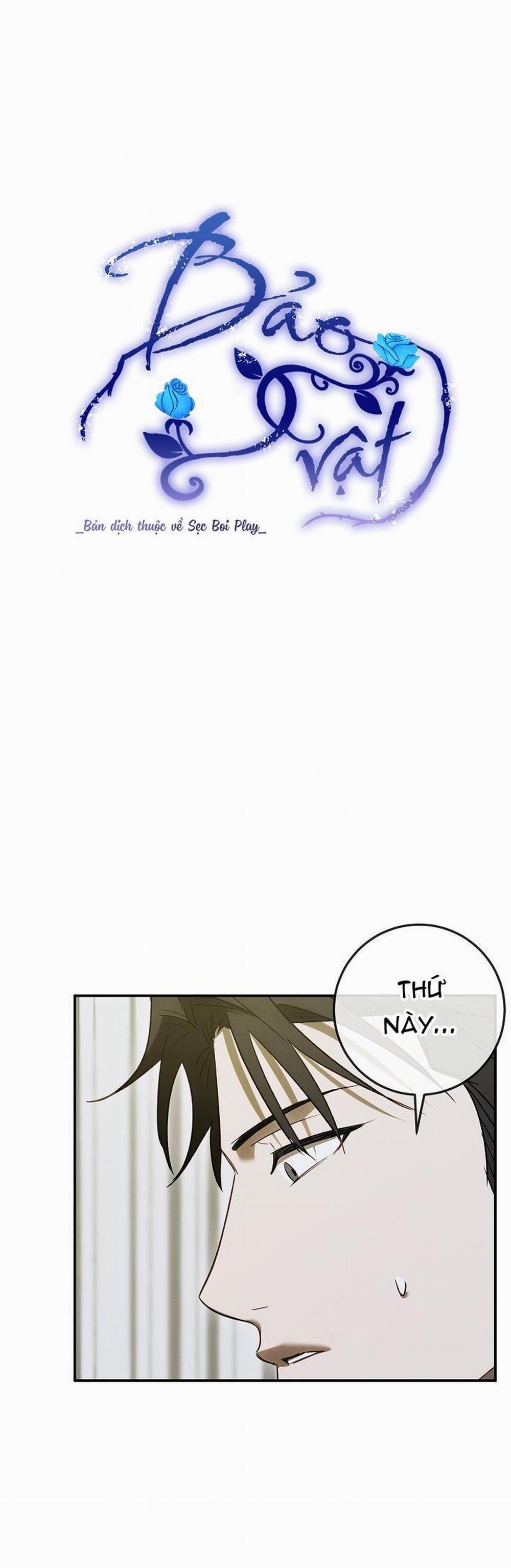 BẢO VẬT 15 trang 0