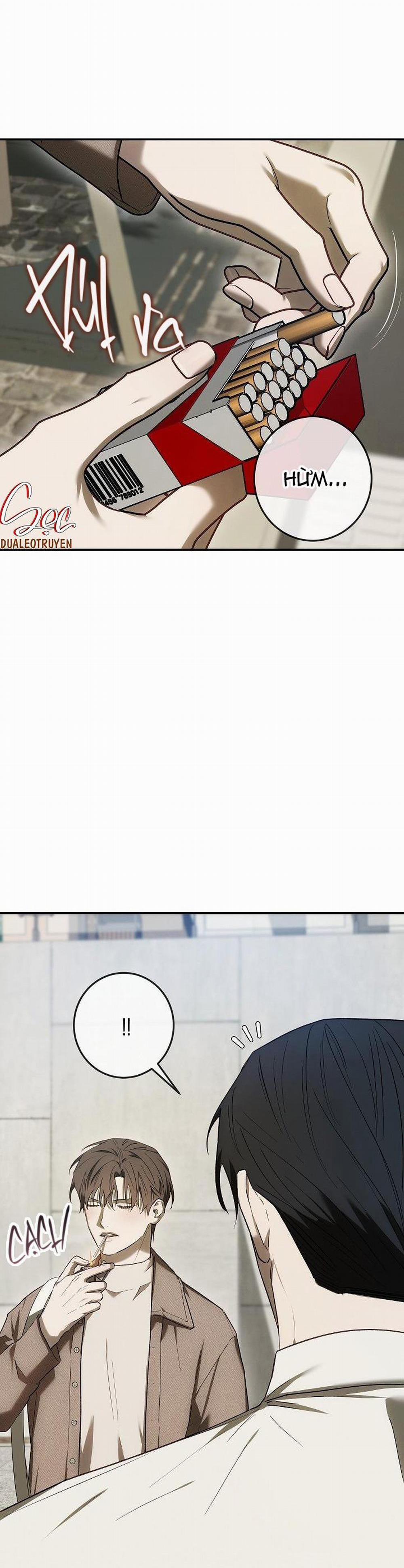 BẢO VẬT 15 trang 29