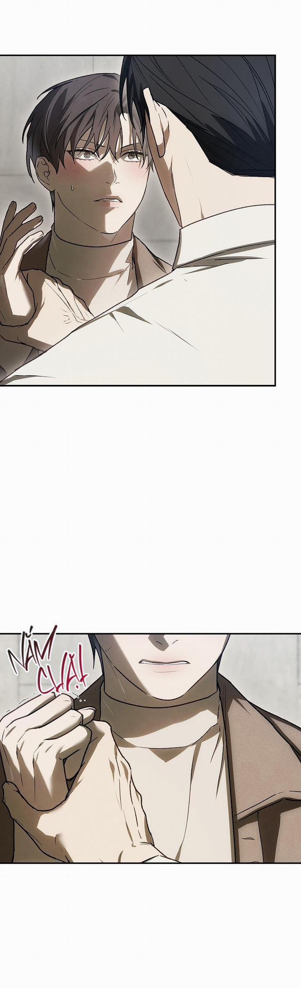 BẢO VẬT 15 trang 36