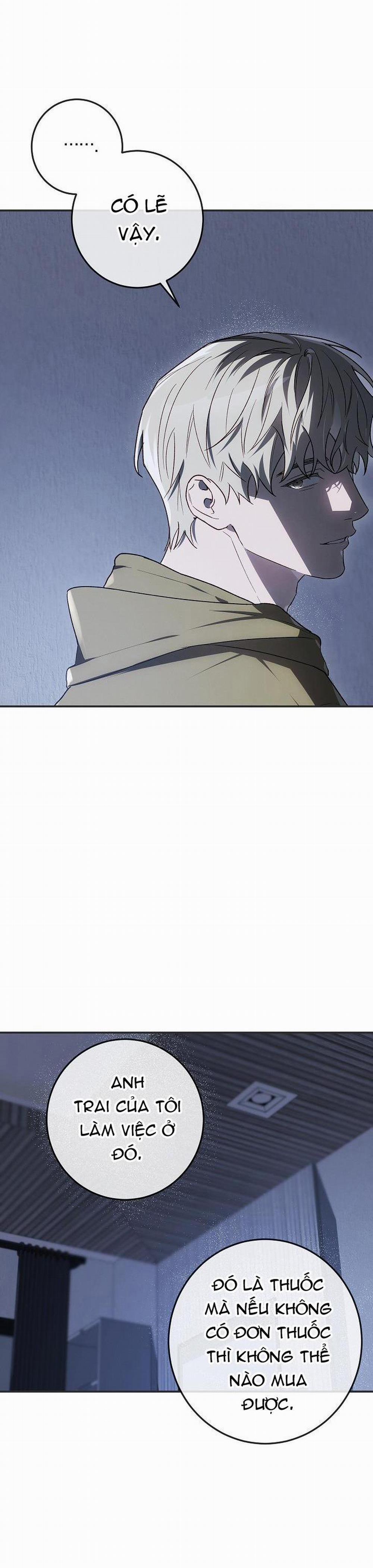 BẢO VẬT 16 trang 26