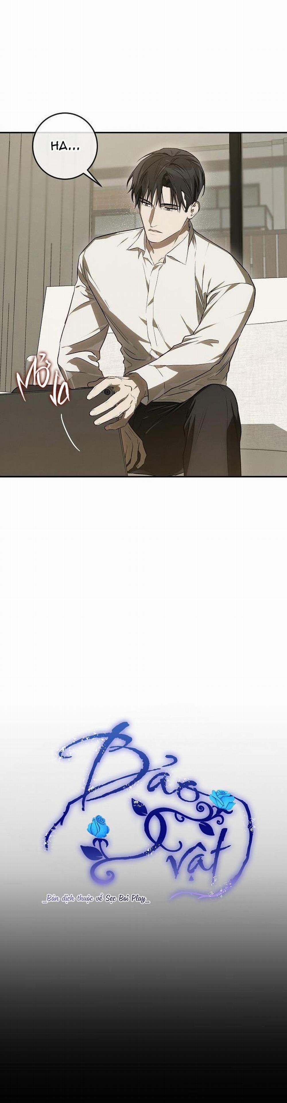 BẢO VẬT 16 trang 3