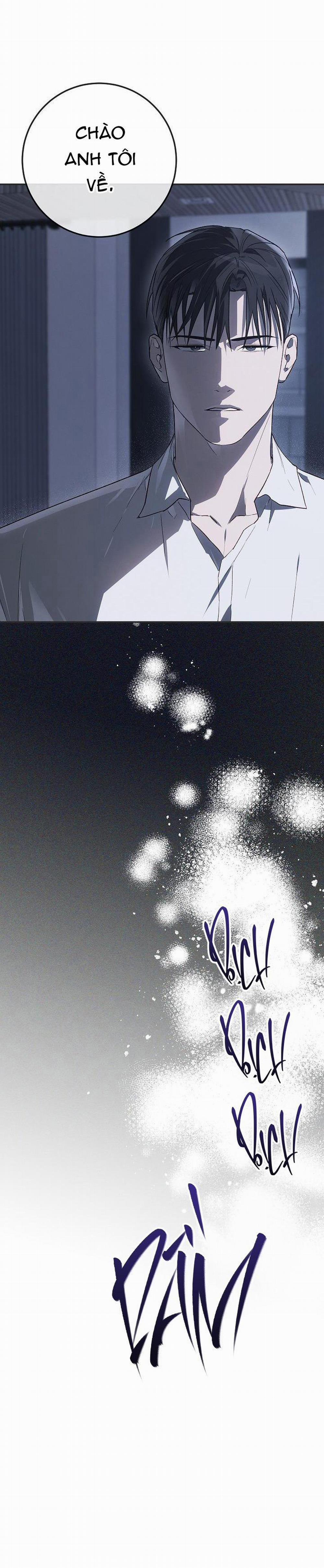 BẢO VẬT 16 trang 31