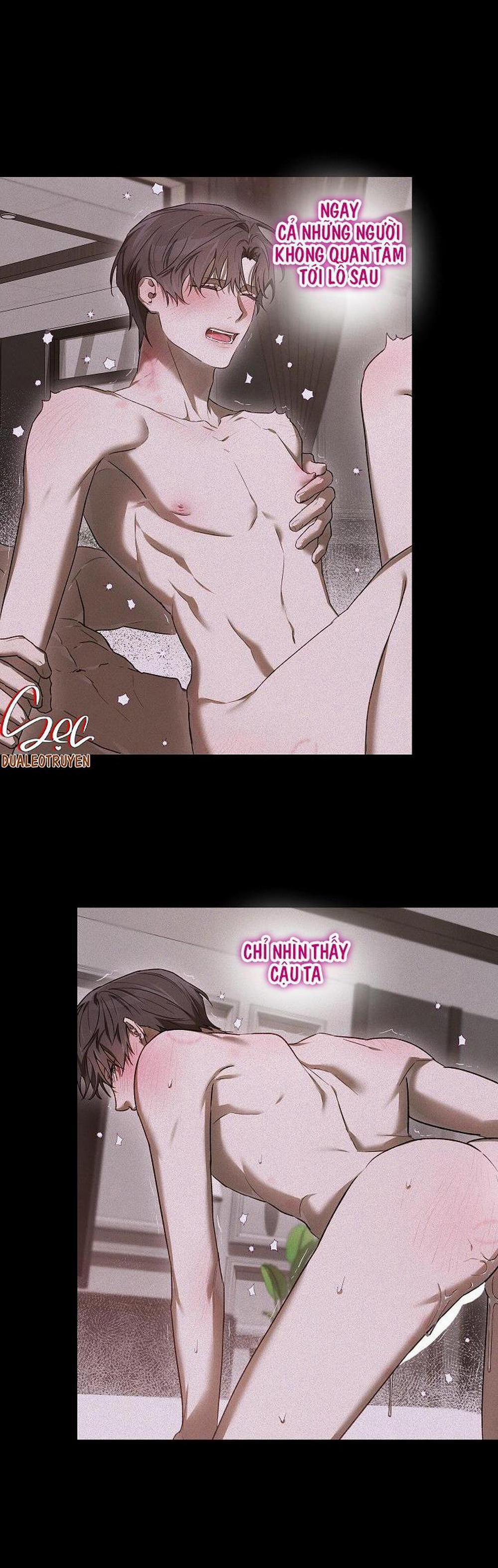 BẢO VẬT 16 trang 8